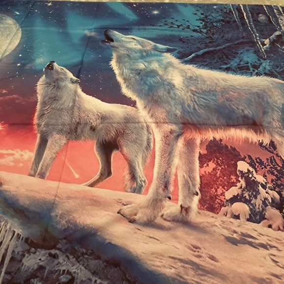 NWOTS Tapestry - Picture 2 of 9